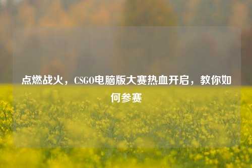 点燃战火,CSGO电脑版大赛热血开启,教你如何参赛