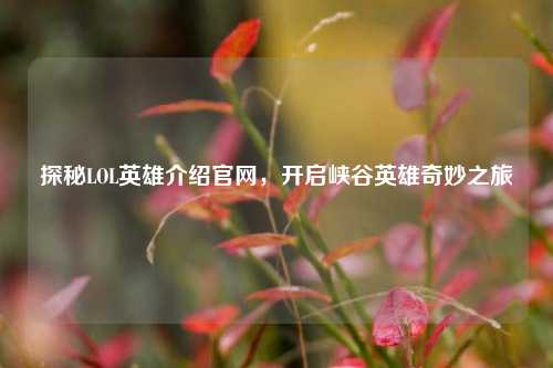 探秘LOL英雄介绍官网，开启峡谷英雄奇妙之旅