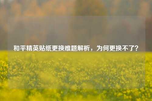 和平精英贴纸更换难题解析,为何更换不了?