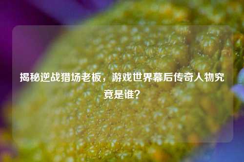 揭秘逆战猎场老板，游戏世界幕后传奇人物究竟是谁？