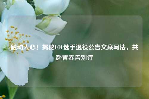触动人心!揭秘LOL选手退役公告文案写法,共赴青春告别诗