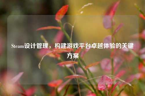 Steam设计管理，构建游戏平台卓越体验的关键方案