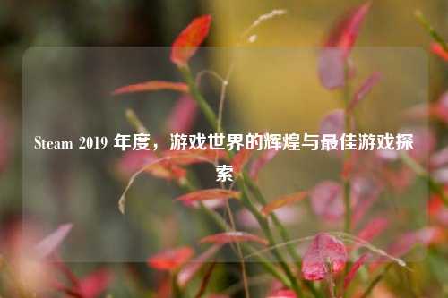 Steam 2019 年度，游戏世界的辉煌与最佳游戏探索