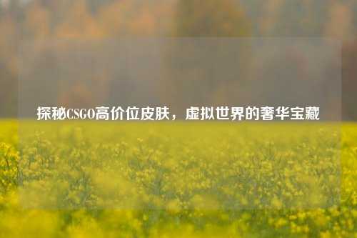 探秘CSGO高价位皮肤，虚拟世界的奢华宝藏