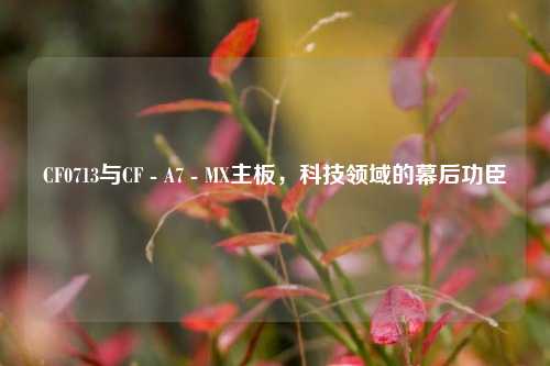 CF0713与CF - A7 - MX主板,科技领域的幕后功臣