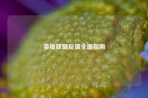 英雄联盟反馈全面指南