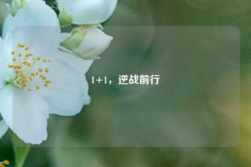1+1,逆战前行
