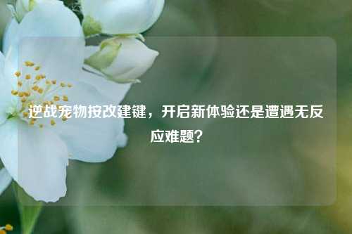 逆战宠物按改建键，开启新体验还是遭遇无反应难题？