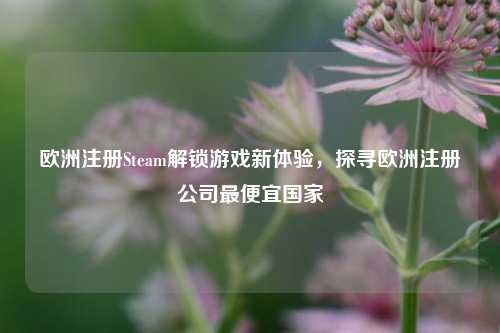 欧洲注册Steam解锁游戏新体验，探寻欧洲注册公司最便宜国家