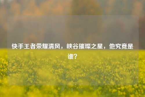 快手王者荣耀清风，峡谷璀璨之星，他究竟是谁？