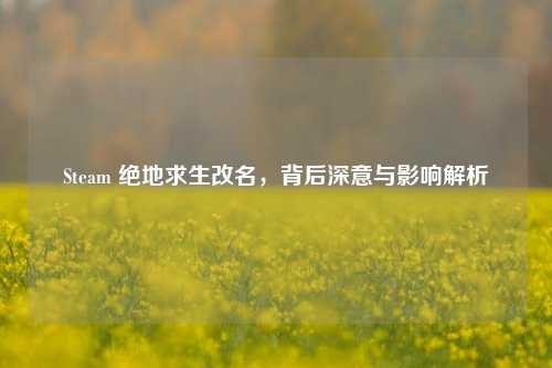 Steam 绝地求生改名,背后深意与影响解析