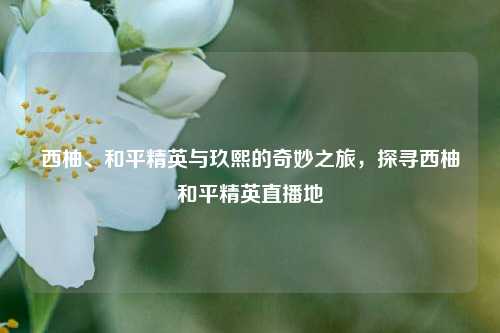 西柚、和平精英与玖熙的奇妙之旅,探寻西柚和平精英直播地