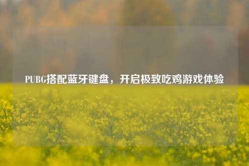 PUBG搭配蓝牙键盘，开启极致吃鸡游戏体验