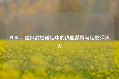 PUBG,虚拟战场硝烟中的热血激情与烟雾弹灭火