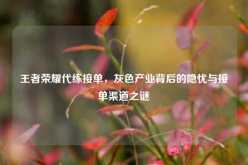 王者荣耀代练接单,灰色产业背后的隐忧与接单渠道之谜
