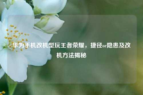 华为手机改机型玩王者荣耀，捷径or隐患及改机方法揭秘