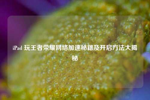 iPad 玩王者荣耀网络加速秘籍及开启方法大揭秘