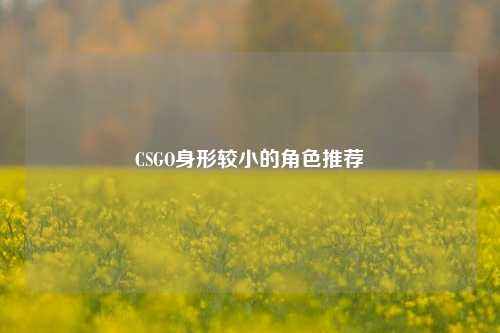 CSGO身形较小的角色推荐