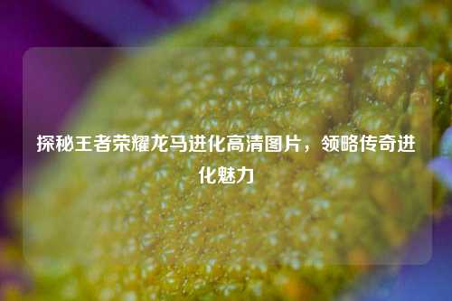 探秘王者荣耀龙马进化高清图片，领略传奇进化魅力