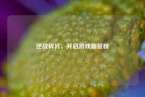 逆战碎片，开启游戏新征程