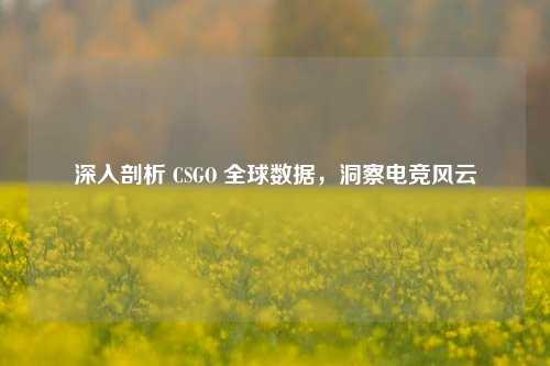 深入剖析 CSGO 全球数据，洞察电竞风云