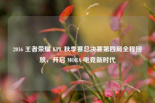 2016 王者荣耀 KPL 秋季赛总决赛第四局全程回放，开启 MOBA 电竞新时代