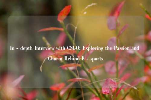 In - depth Interview with CSGO: Exploring the Passion and Charm Behind E - sports