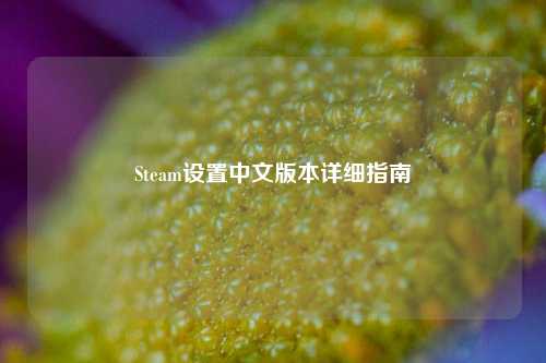 Steam设置中文版本详细指南