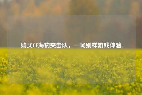 购买CF海豹突击队，一场别样游戏体验