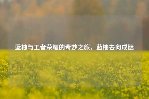 蓝柚与王者荣耀的奇妙之旅，蓝柚去向成谜