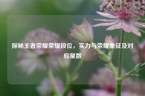 探秘王者荣耀荣耀段位,实力与荣耀象征及对应星数