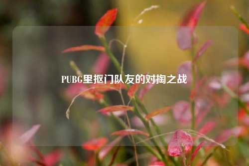 PUBG里抠门队友的对掏之战