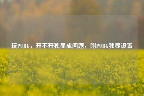 玩PUBG，开不开独显成问题，附PUBG独显设置
