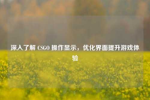 深入了解 CSGO 操作显示，优化界面提升游戏体验