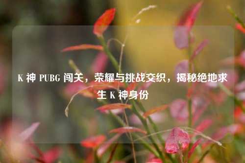 K 神 PUBG 闯关，荣耀与挑战交织，揭秘绝地求生 K 神身份