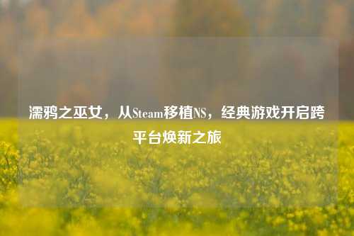 濡鸦之巫女，从Steam移植NS，经典游戏开启跨平台焕新之旅