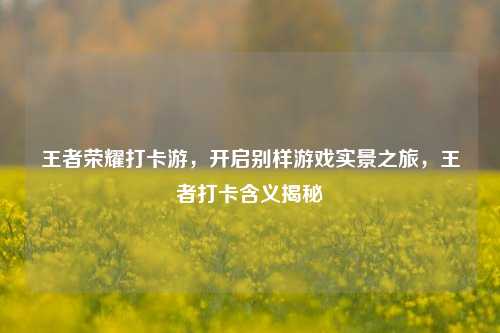 王者荣耀打卡游,开启别样游戏实景之旅,王者打卡含义揭秘