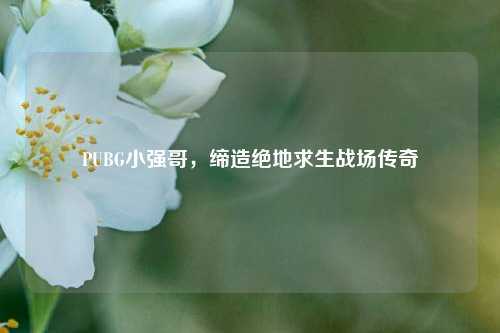 PUBG小强哥，缔造绝地求生战场传奇
