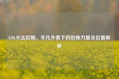 LOL小法后期，平凡外表下的恐怖力量及位置解析