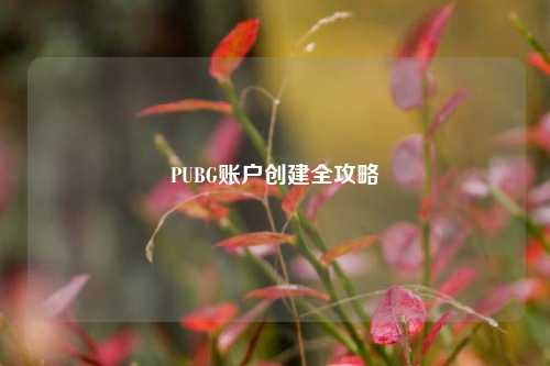 PUBG账户创建全攻略