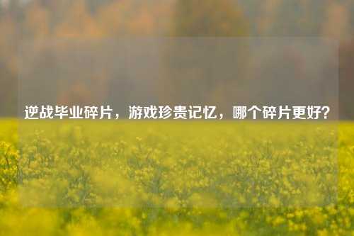 逆战毕业碎片,游戏珍贵记忆,哪个碎片更好?