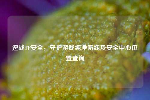 逆战TP安全,守护游戏纯净防线及安全中心位置查询