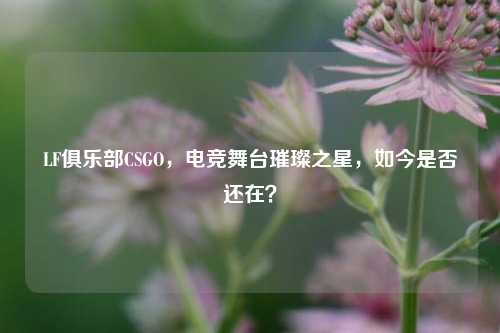 LF俱乐部CSGO，电竞舞台璀璨之星，如今是否还在？
