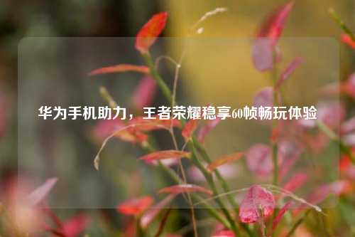 华为手机助力，王者荣耀稳享60帧畅玩体验