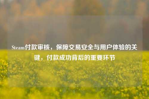 Steam付款审核,保障交易安全与用户体验的关键,付款成功背后的重要环节