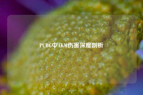 PUBG中AKM伤害深度剖析