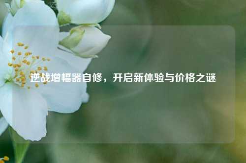 逆战增幅器自修，开启新体验与价格之谜