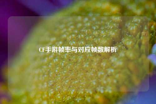 CF手游帧率与对应帧数解析