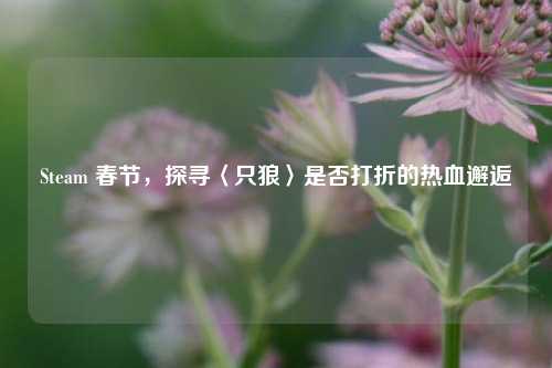 Steam 春节,探寻〈只狼〉是否打折的热血邂逅