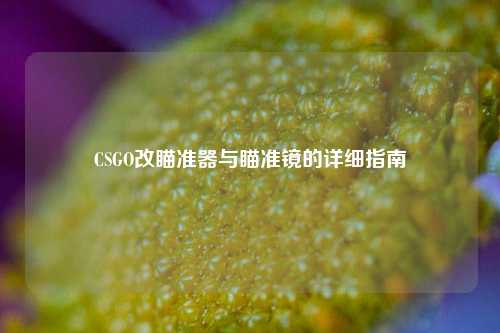 CSGO改瞄准器与瞄准镜的详细指南